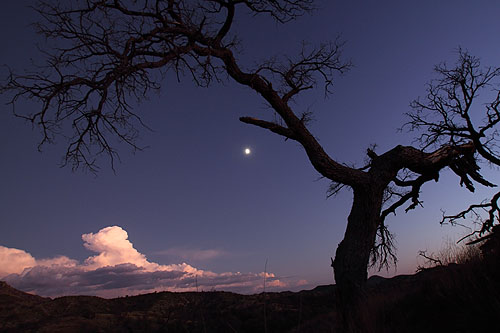 Moonrise in Sycamore Canyon